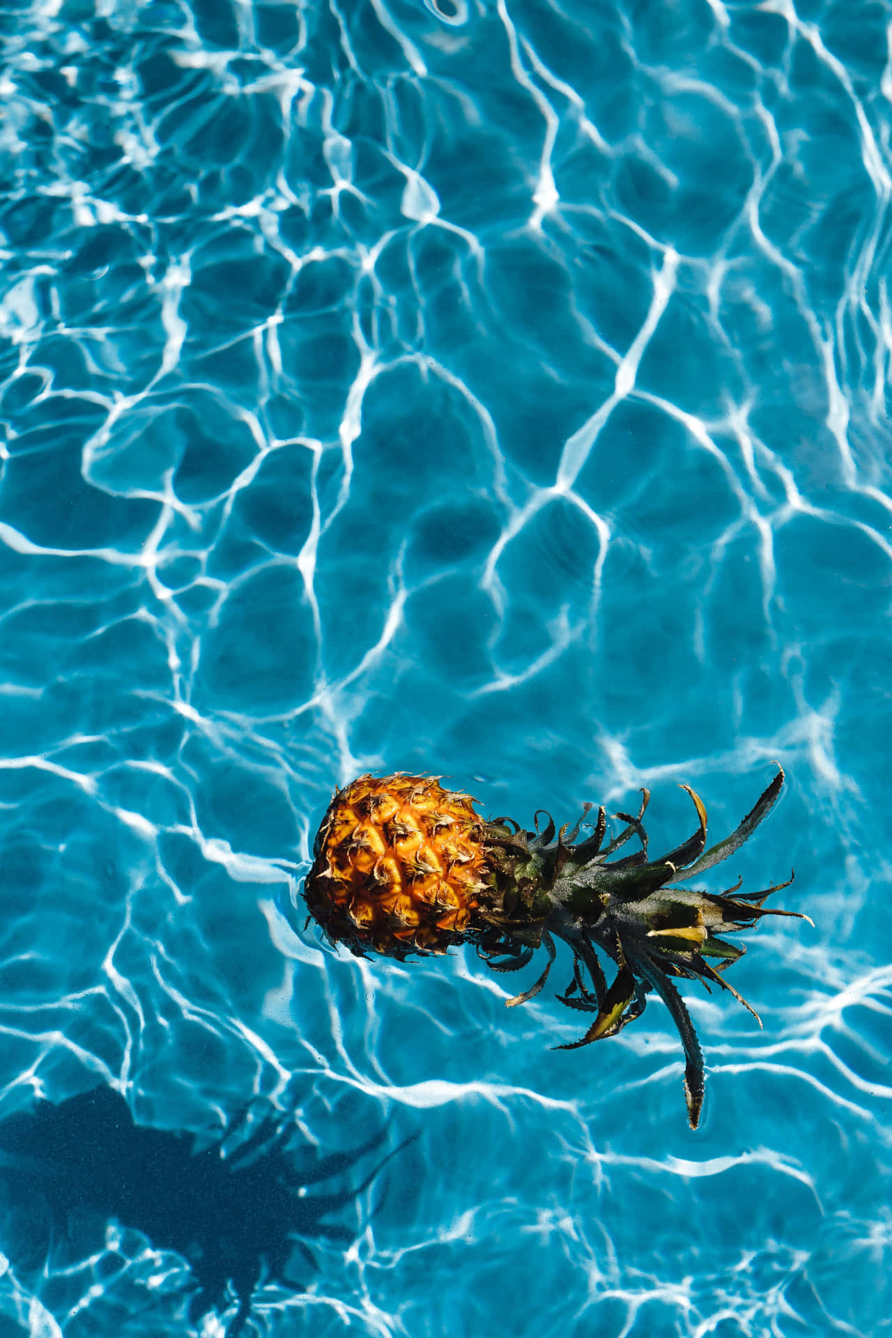 Pineapple Plant Pool Floating Photography Picture