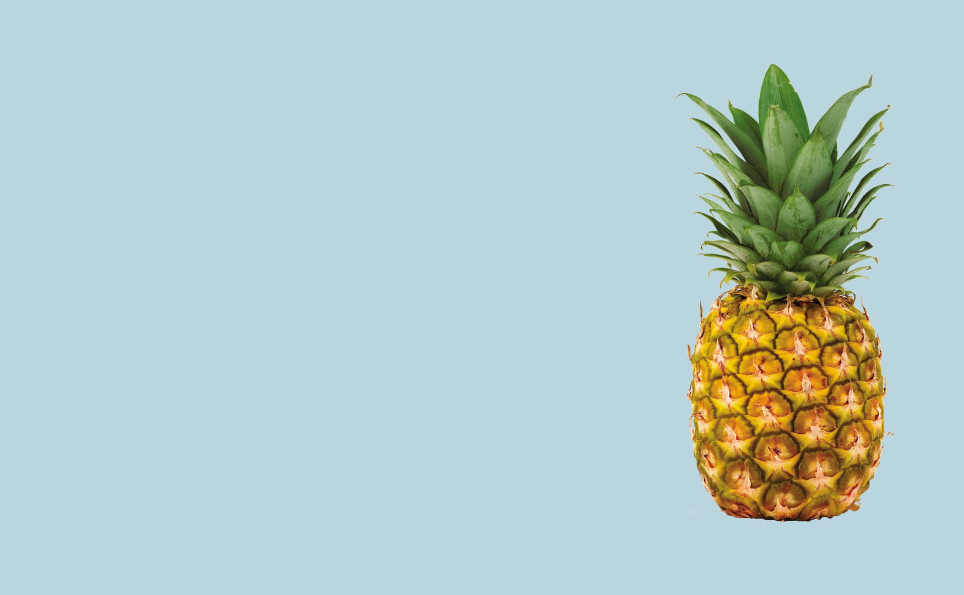 Pineapple Plant Fruit Digital Art Picture