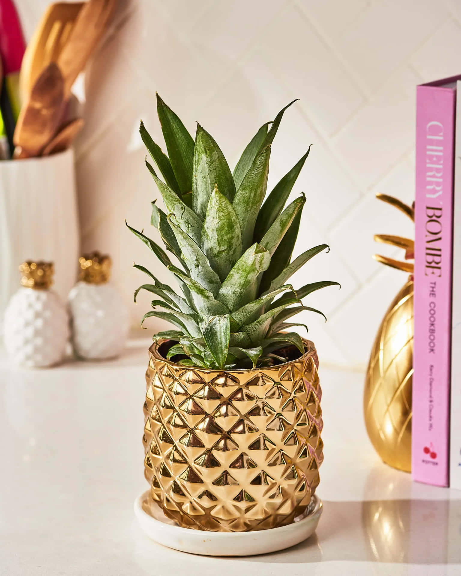 Pineapple Plant Gold Vase Photography Picture