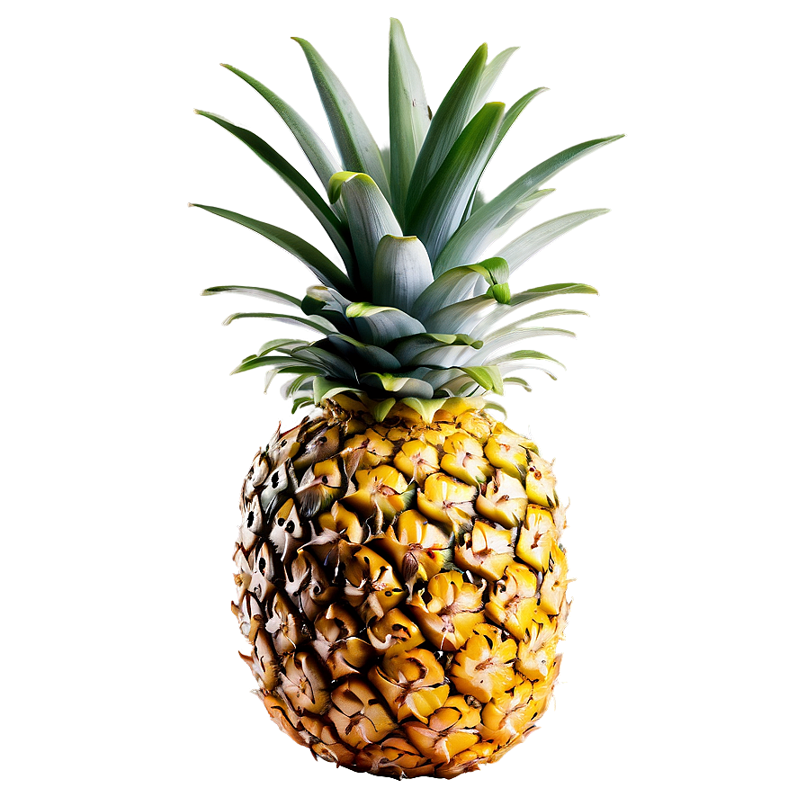 Pineapple Png 87 PNG
