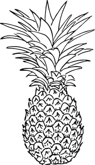 Pineapple Silhouette Outline PNG