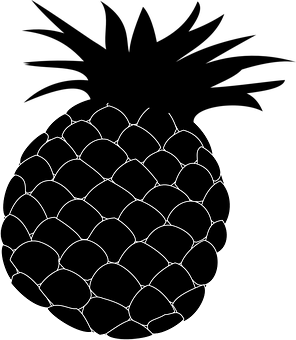 Pineapple Sketch Art PNG