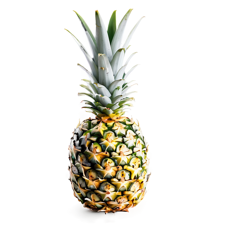 Pineapple Top View Png Bou PNG