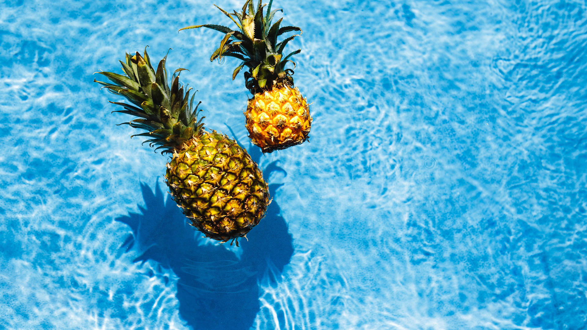 Pineapples In Swimming Pool Wallpaper