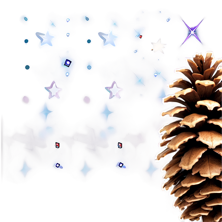 Pinecone Under The Stars Png 06132024 PNG