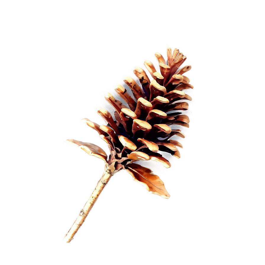 Pinecone With Misty Background Png 06132024 PNG