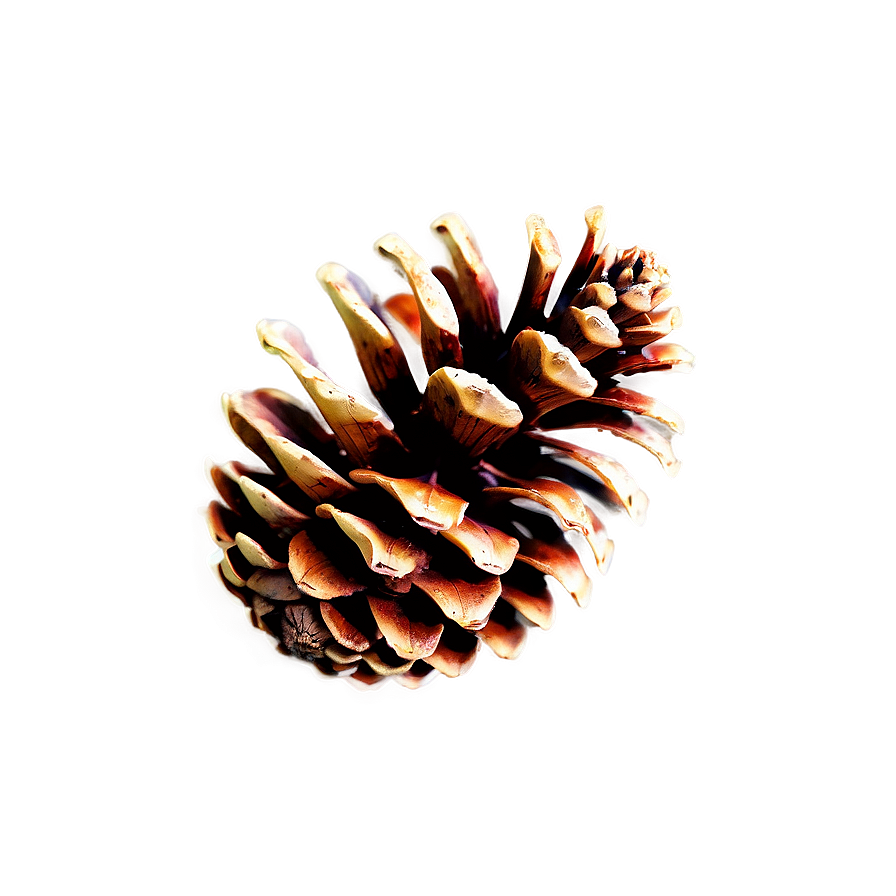 Pinecone With Misty Background Png 64 PNG