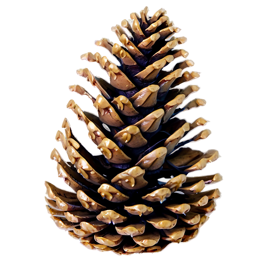 Pinecone With Misty Background Png Nkl PNG