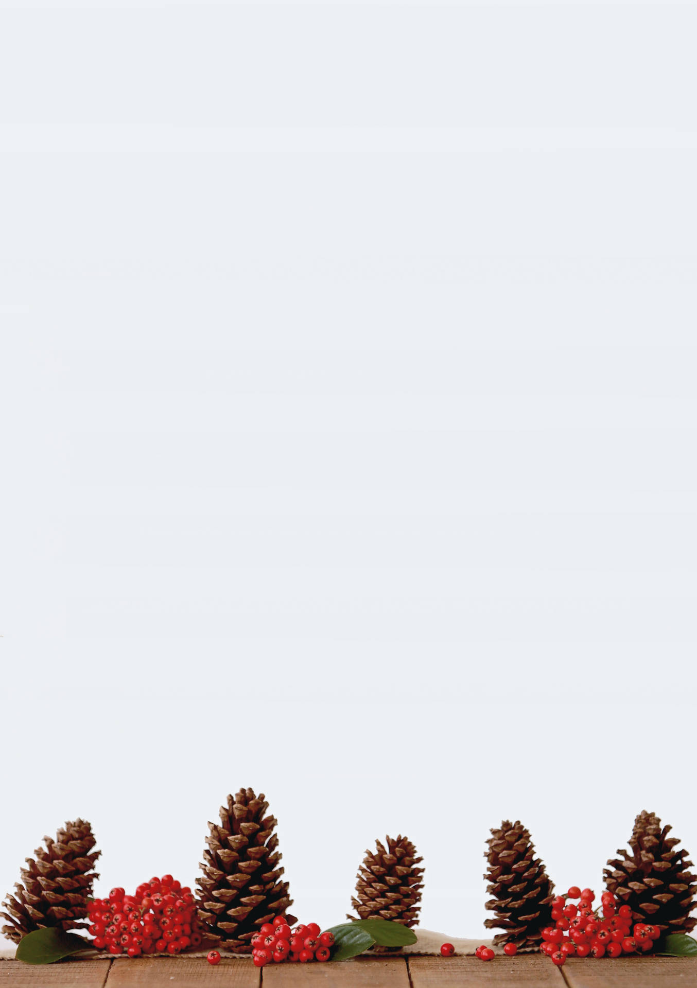 Pinecones On White Background Wallpaper