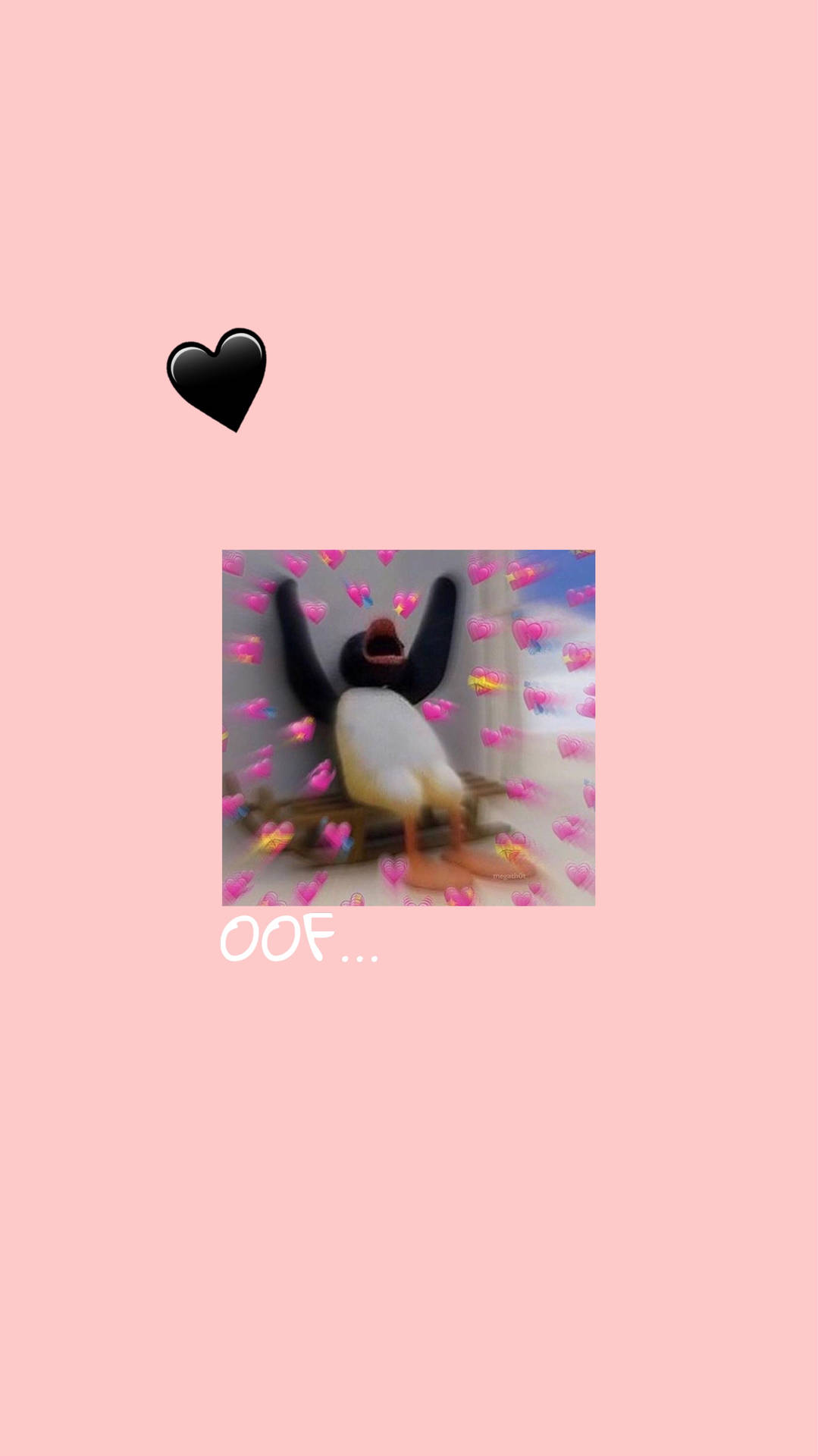 Pingu Hearts Meme Wallpaper