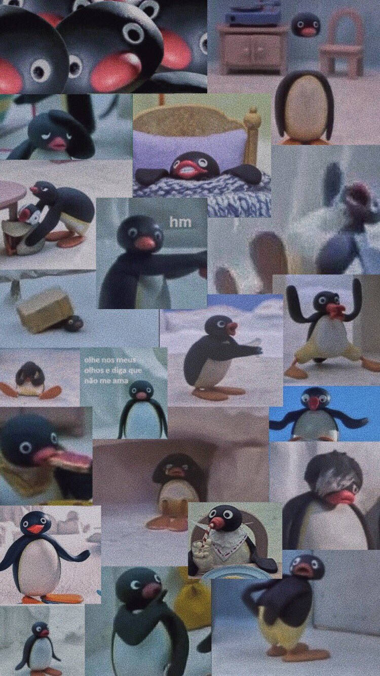 Pingu Show Collage Wallpaper