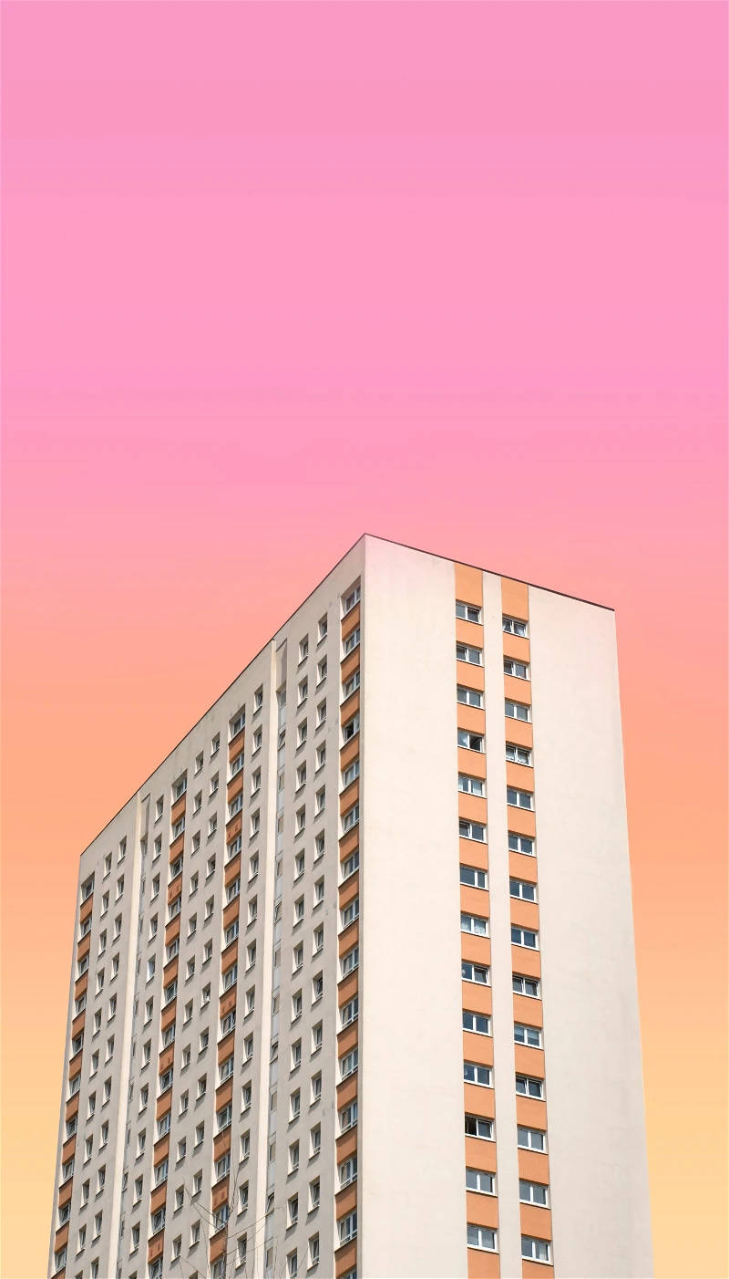 Rosa3d-iphone-lägenhet. Wallpaper