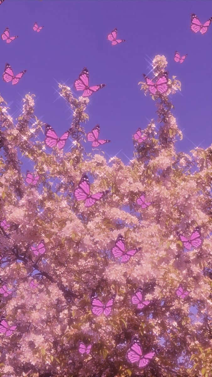 Pink Butterflies Flying In The Sky Wallpaper