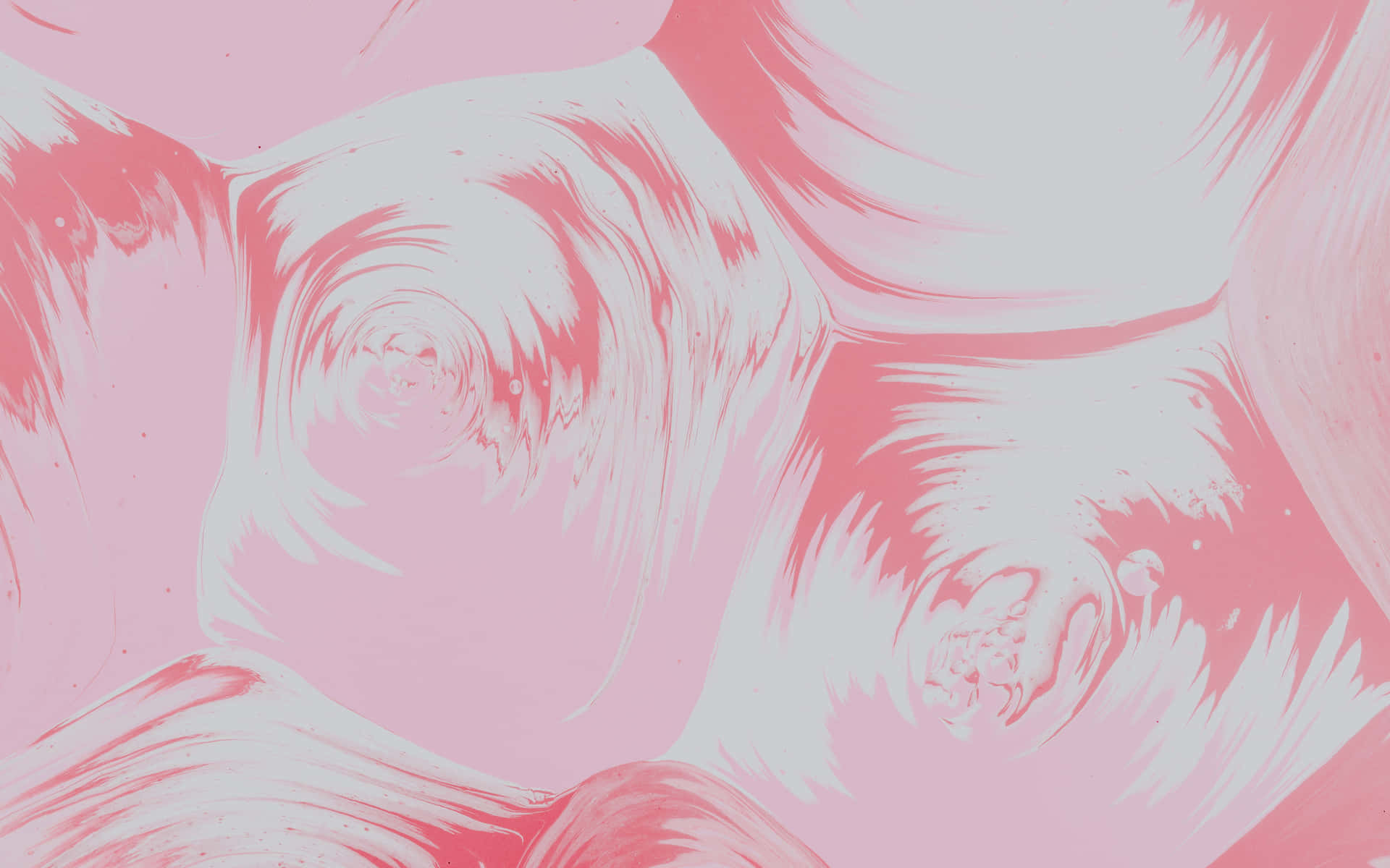 Image  A vibrant pink abstract background