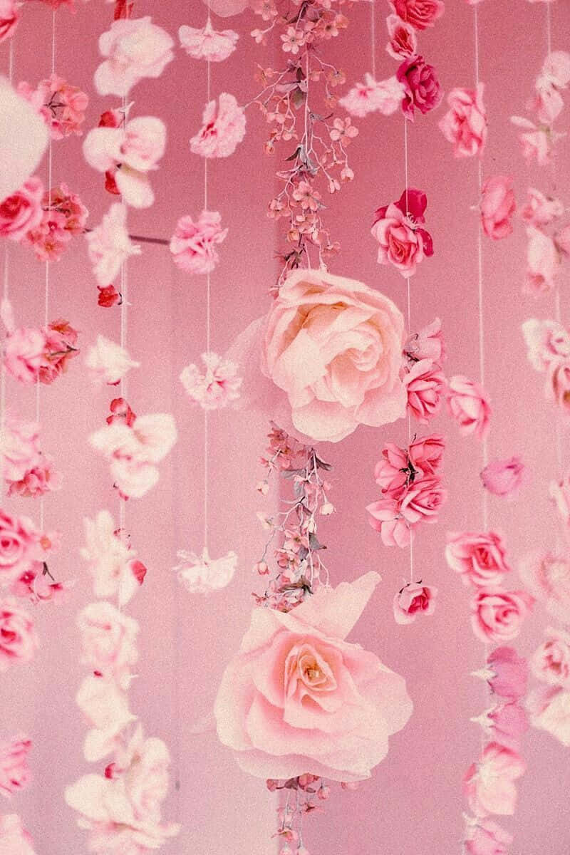 Hanging Flowers Pink Aesthetic Background