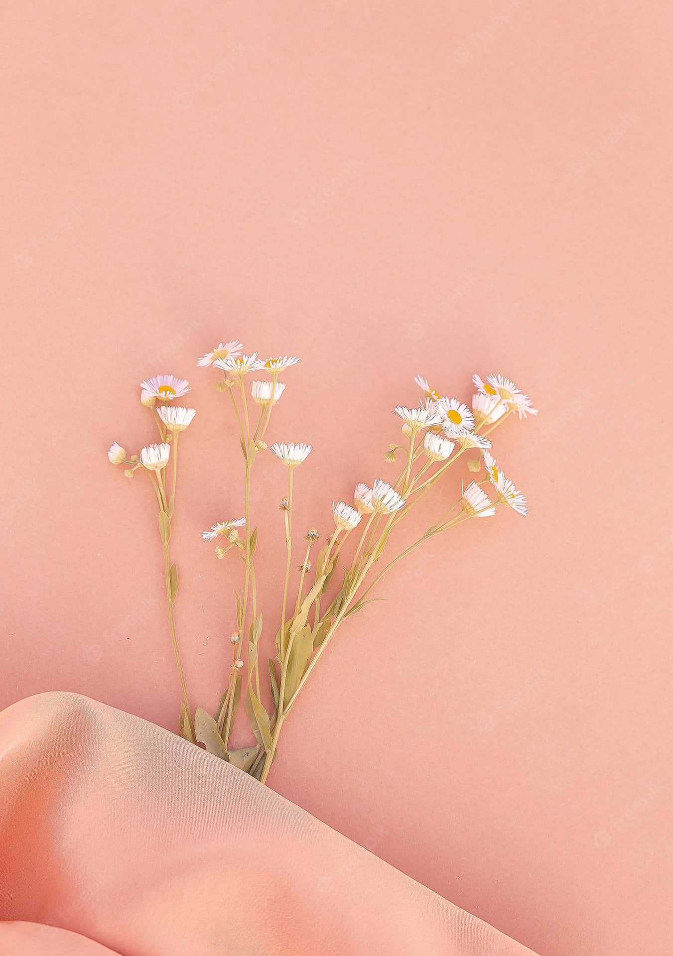 Tiny Daisy Flowers Pink Aesthetic Background