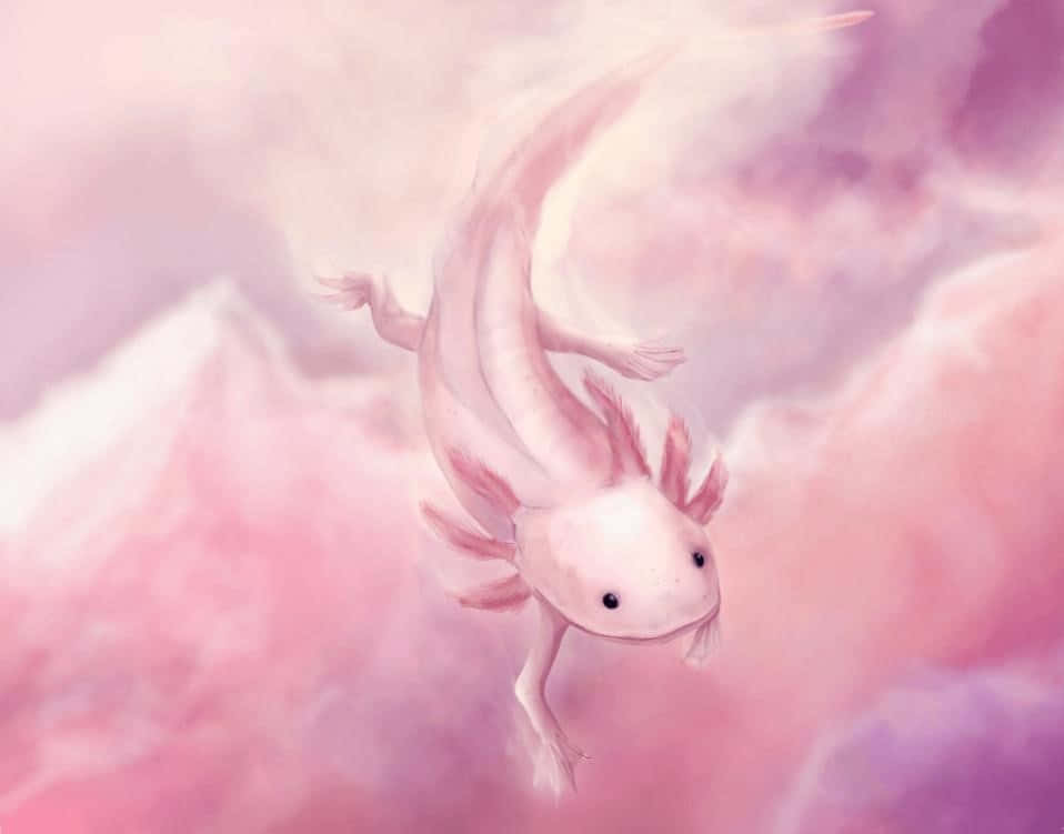 Pink Aesthetic Cute Axolotl Digital Painting Wallpaper