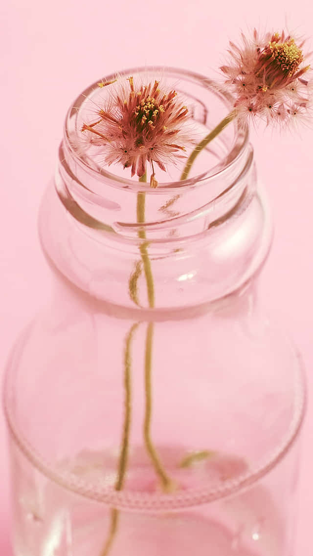 Pink Aesthetic Flowersin Glass Jar Wallpaper