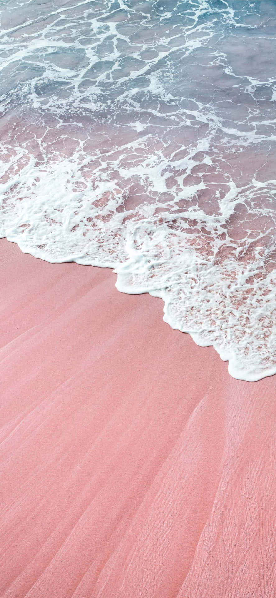 Et pink æstetisk iPhone med et farverigt blomsterarrangement Wallpaper