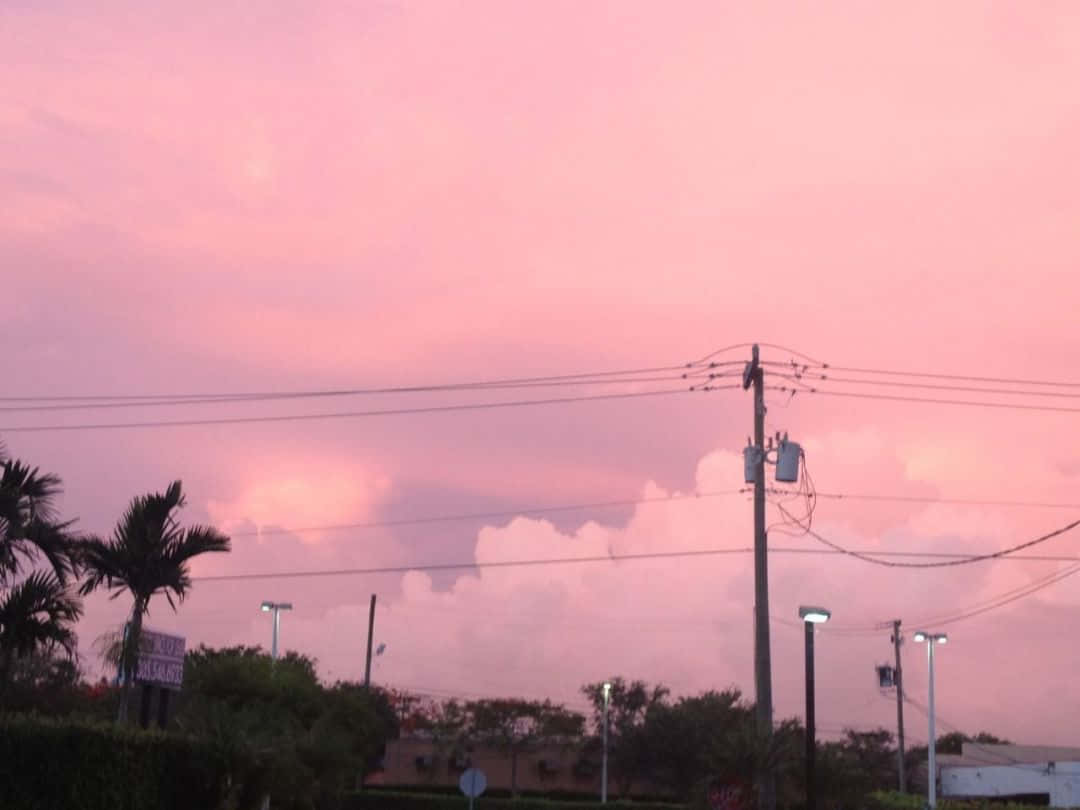 Pastel Pink Aesthetic Sky Picture