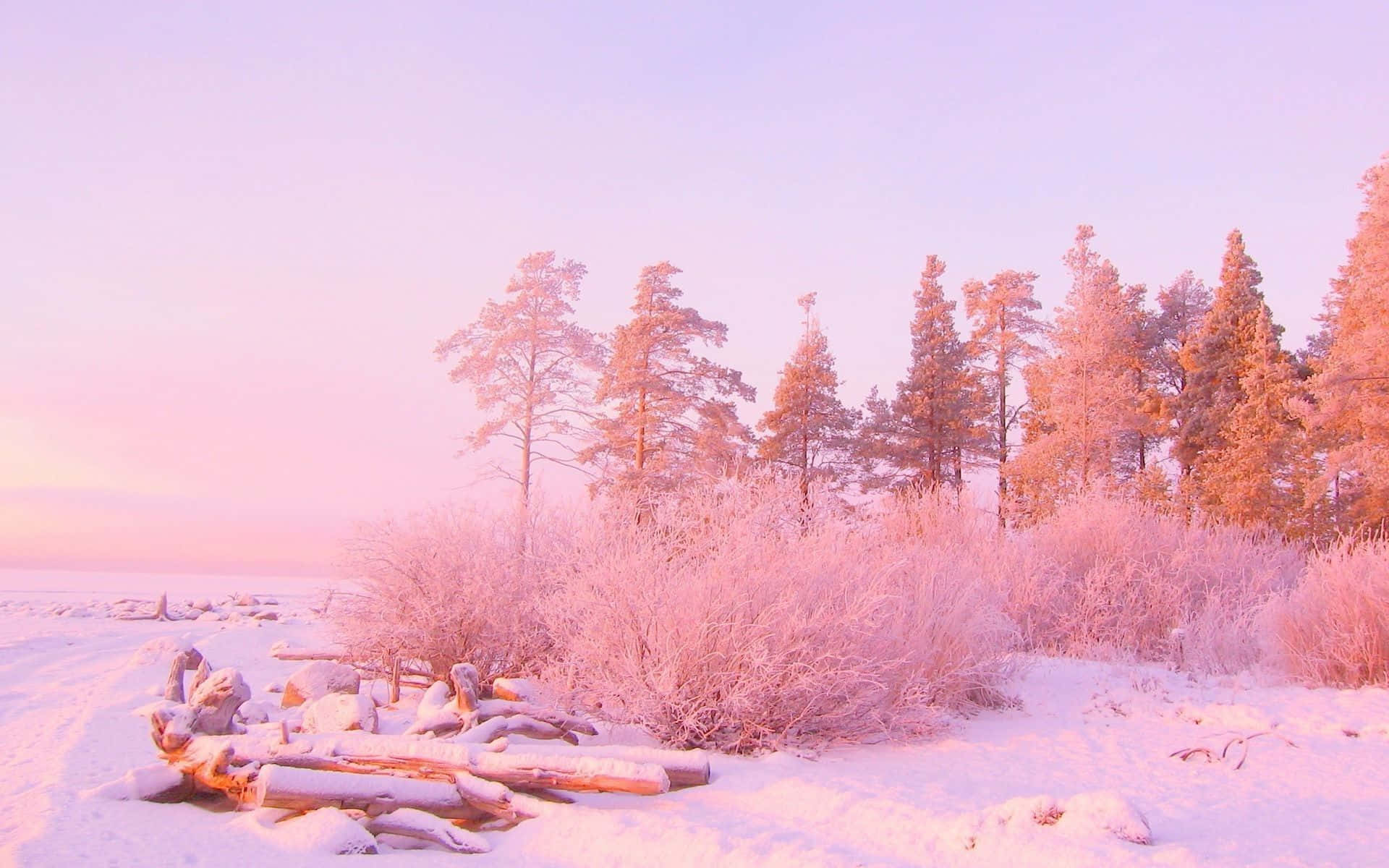 Enjoy the warmth and beauty of pink aesthetic. Wallpaper