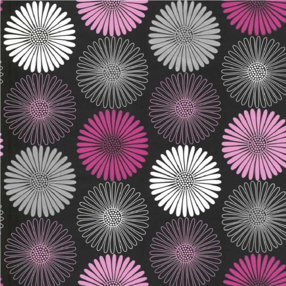 Seamless Daisy Flower Pink And Black Background