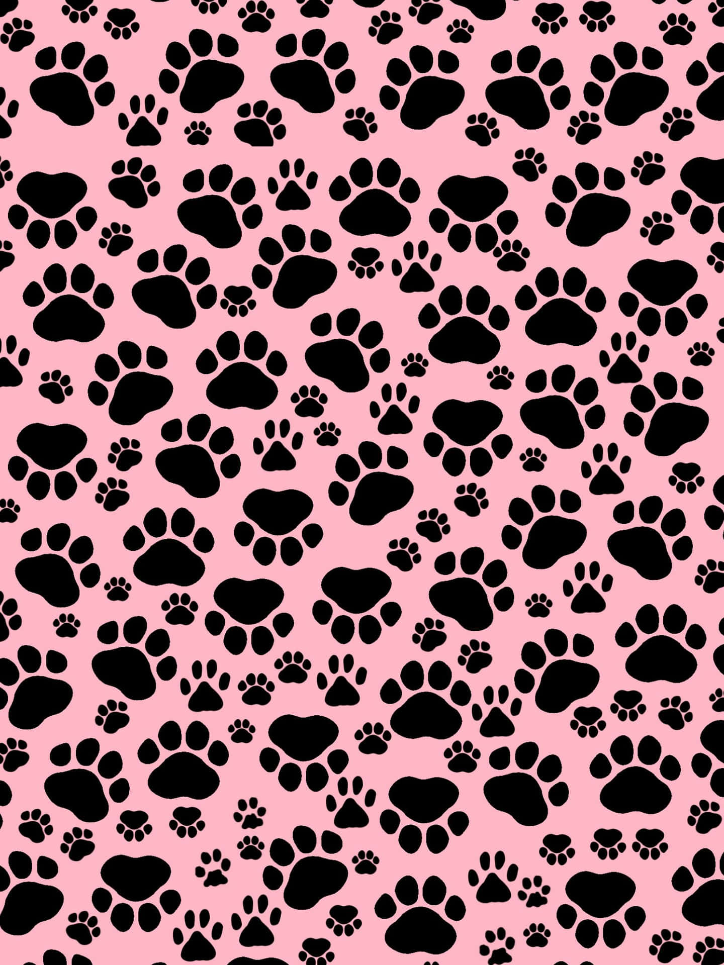 Paw Prints Digital Art Pink And Black Background