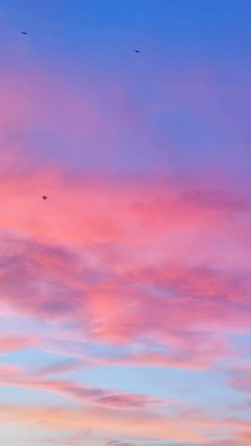 En varm lyserød og blå himmel med skyer Wallpaper