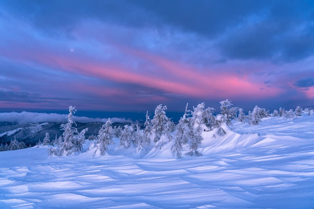 Pink And Blue Sky Winter Scenery Wallpaper