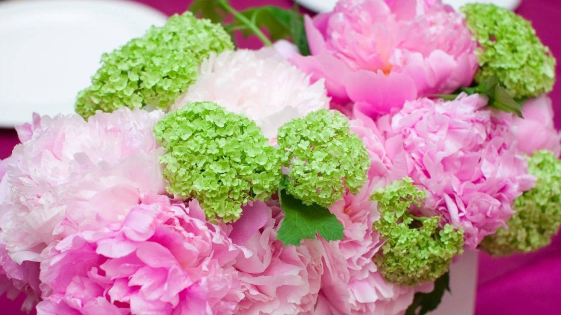 Floresde Hortensia En Rosa Y Verde Fondo de pantalla