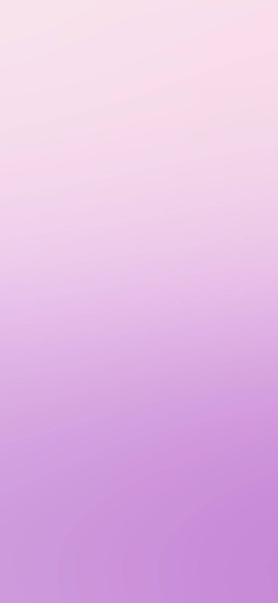 Pink And Light Purple Iphone Gradient Background