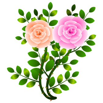 Pink_and_ Peach_ Roses_ Vector_ Illustration PNG