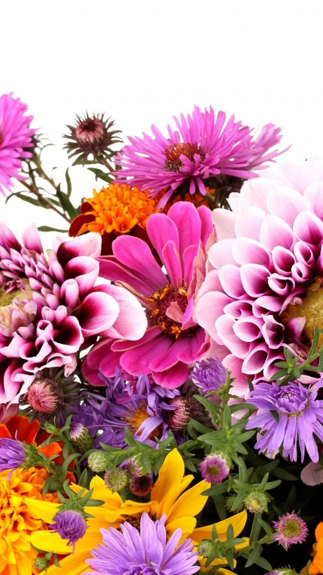 Floresrosas Y Moradas Florales Para Iphone. Fondo de pantalla