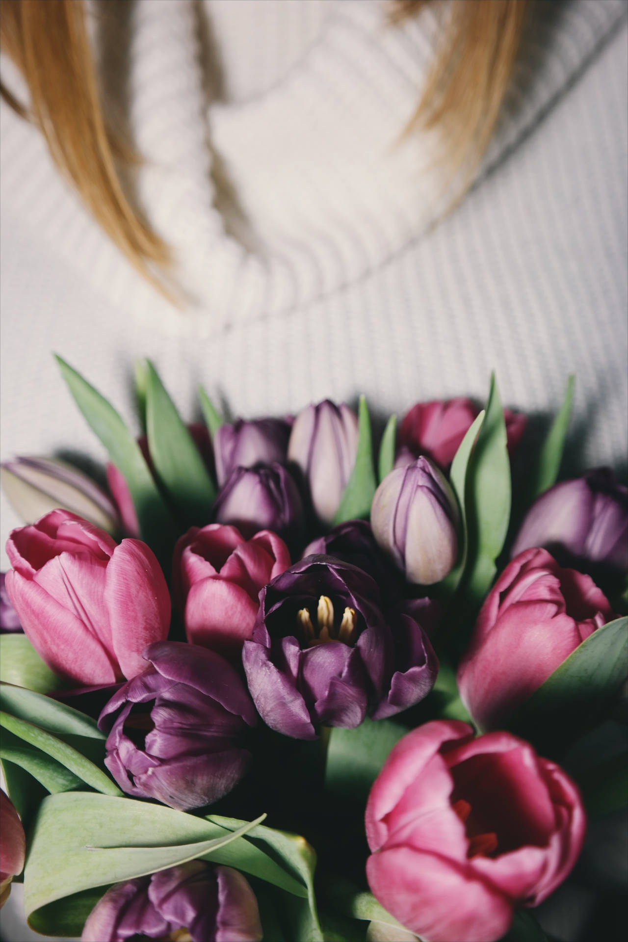 Mazzodi Fiori Di Tulipani Rosa E Viola Sfondo