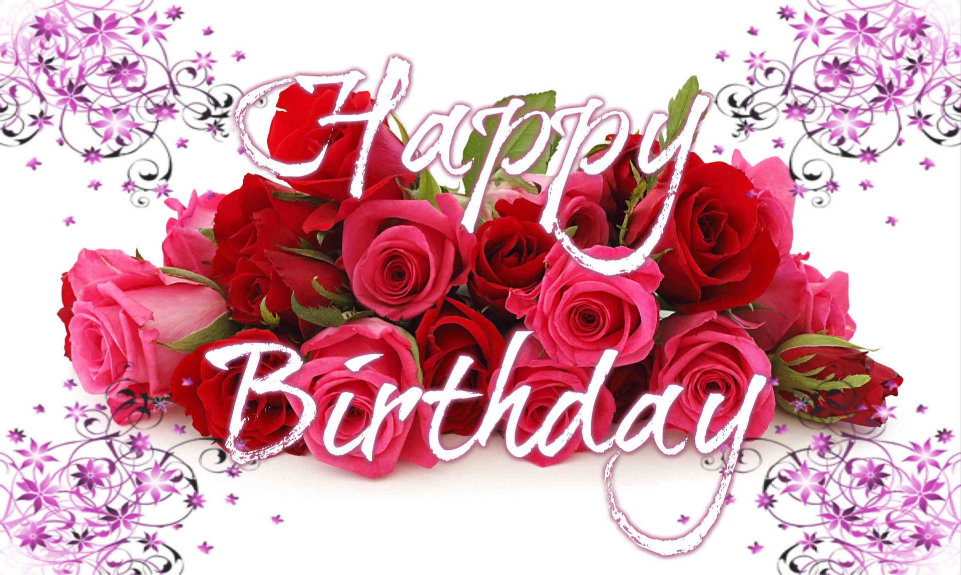Pink And Red Happy Birthday Flower Wallpaper
