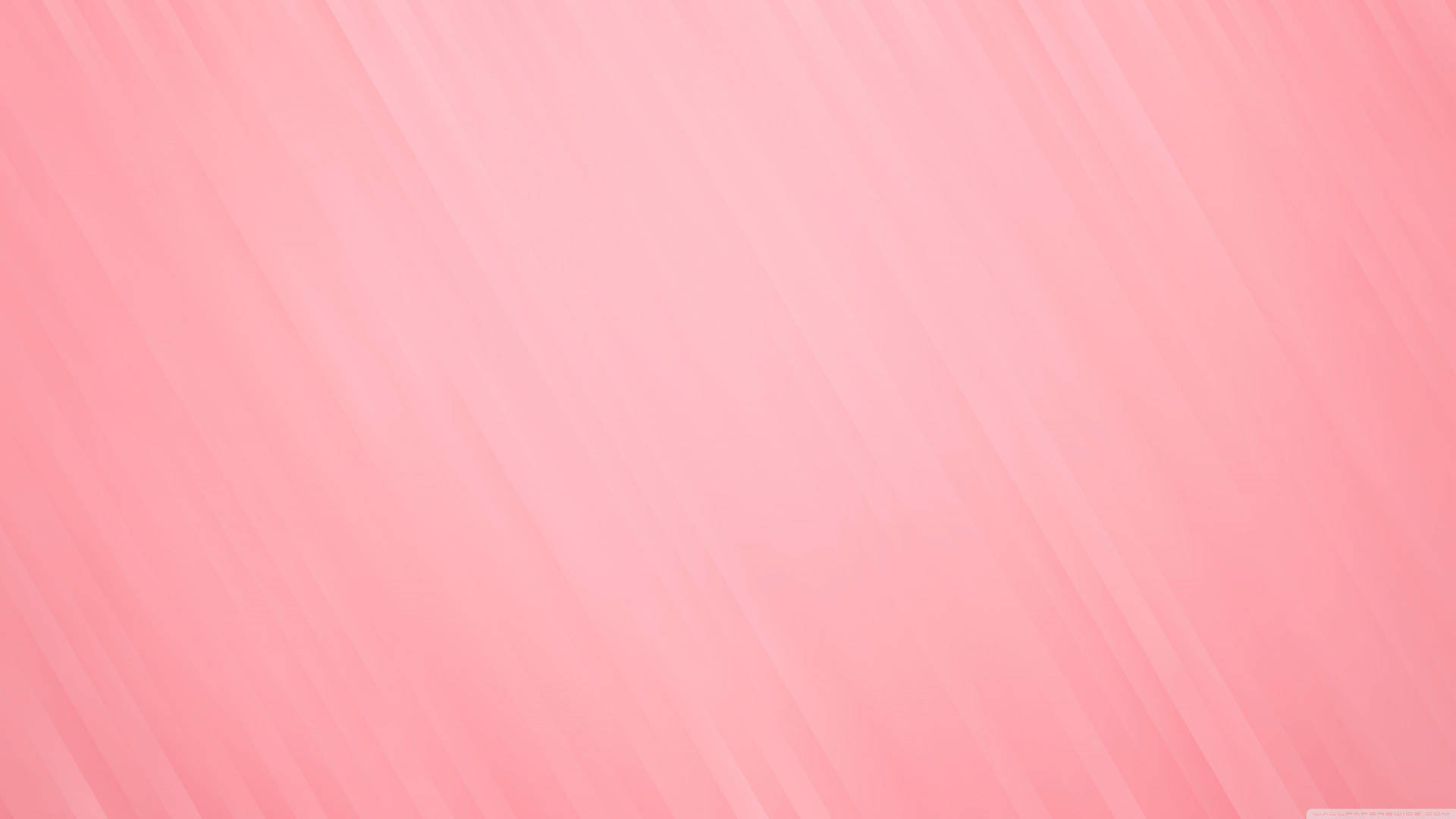 A bright and vibrant pink and white composition Wallpaper