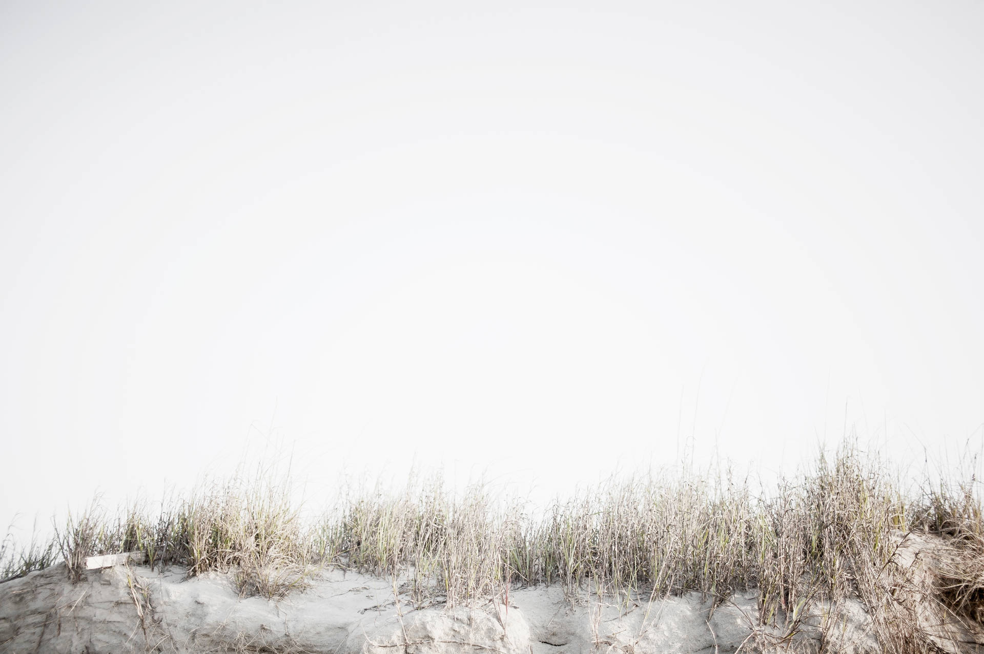 overlooking the ocean - En mand står på en sanddynge og overser havet Wallpaper