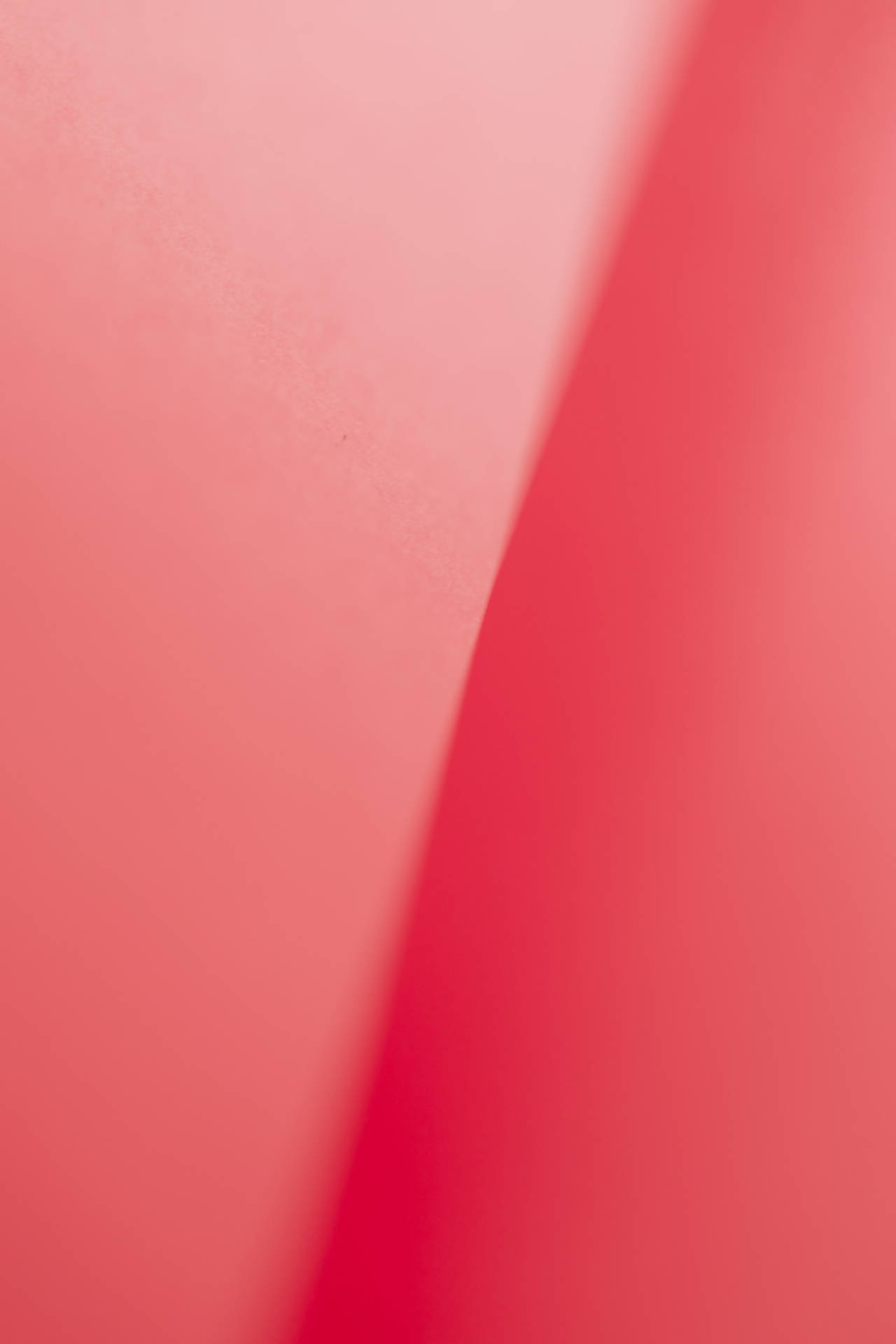 Et tæt på billed af en lyserød papirblomst Wallpaper