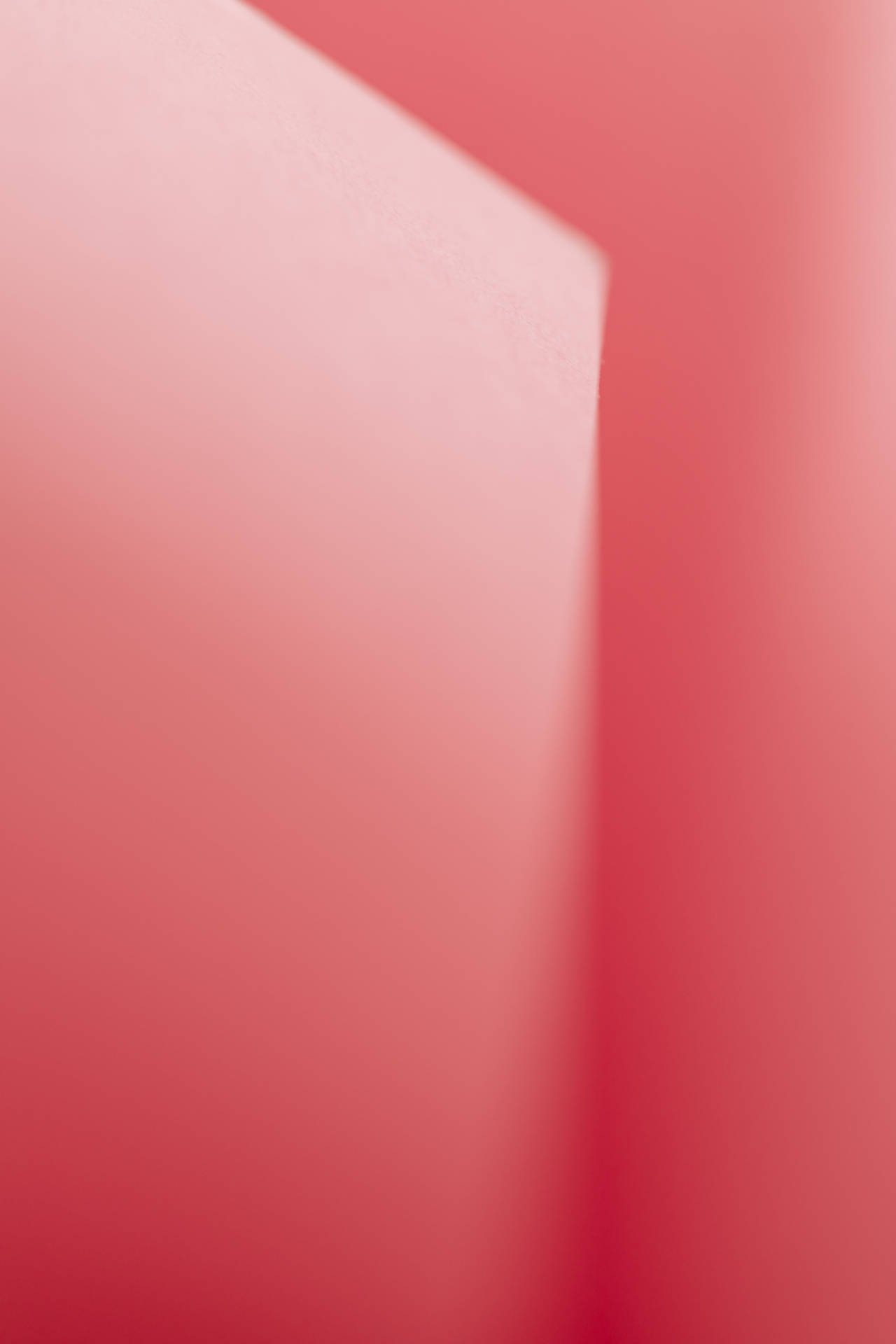 Ascores Suaves Rosa E Branco Evocam Uma Sensação De Tranquilidade Quando Aplicadas Como Papel De Parede Em Computadores Ou Celulares. Papel de Parede