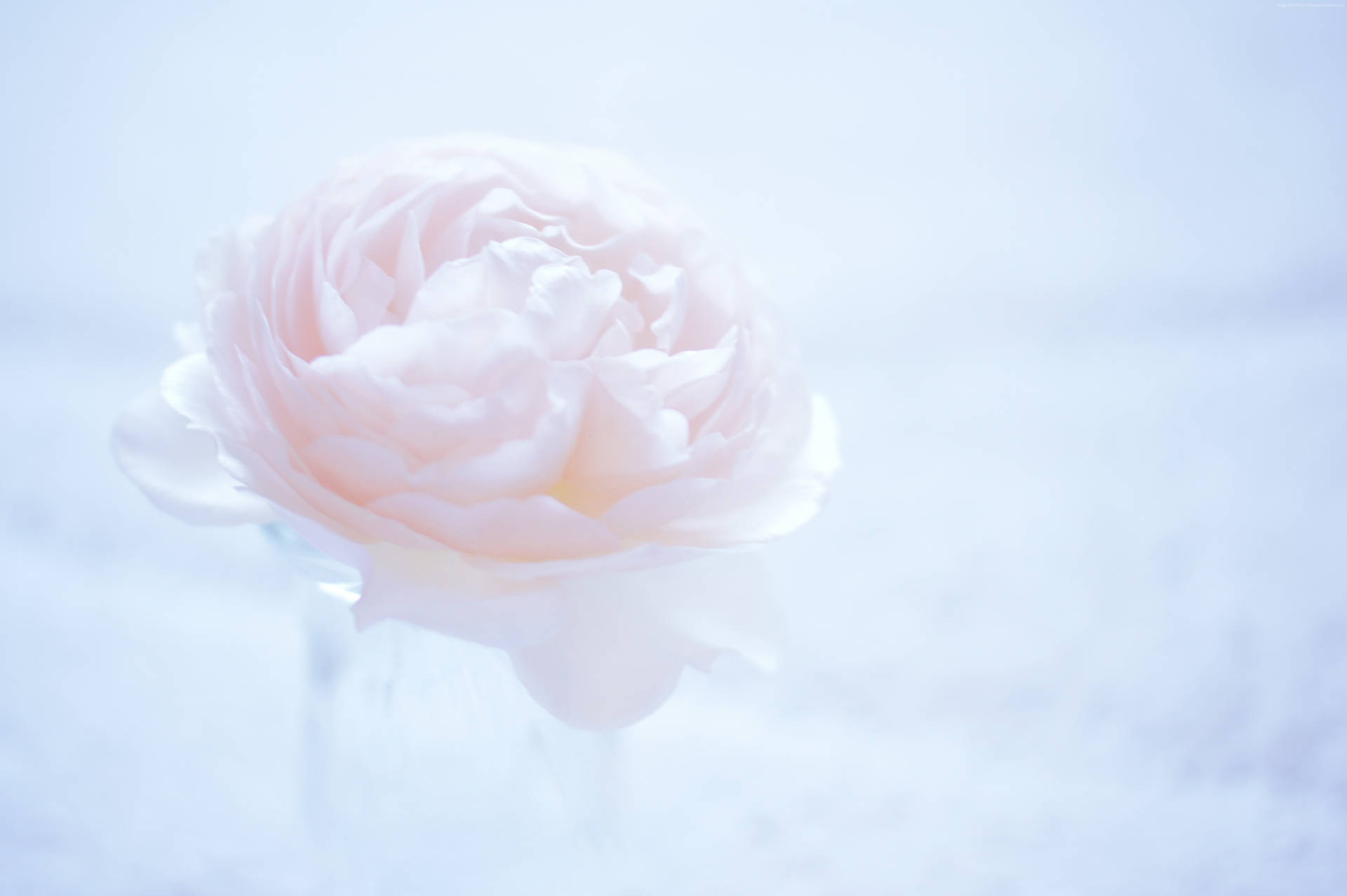 Einwunderschöner Blick Auf Einen Rosa Und Weißen Sonnenuntergang. Wallpaper