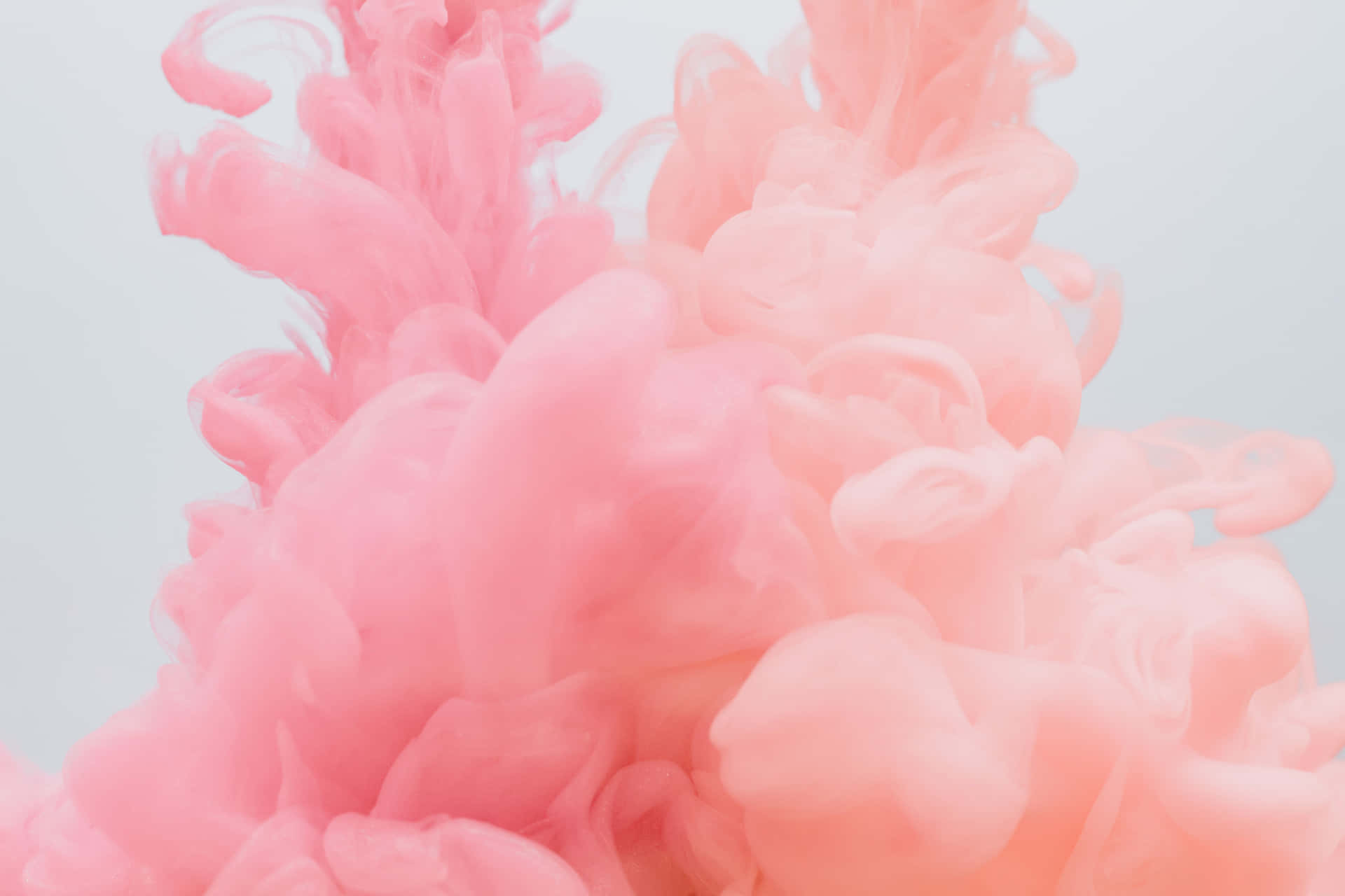 Wunderschönesfluffiges Rosa-weißes Ästhetik Wallpaper