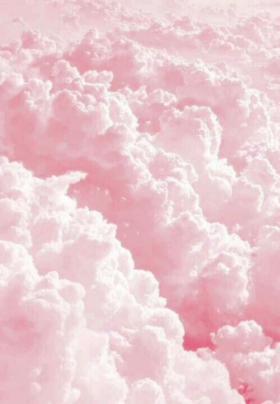Aesthetic beauty of pink and white Wallpaper