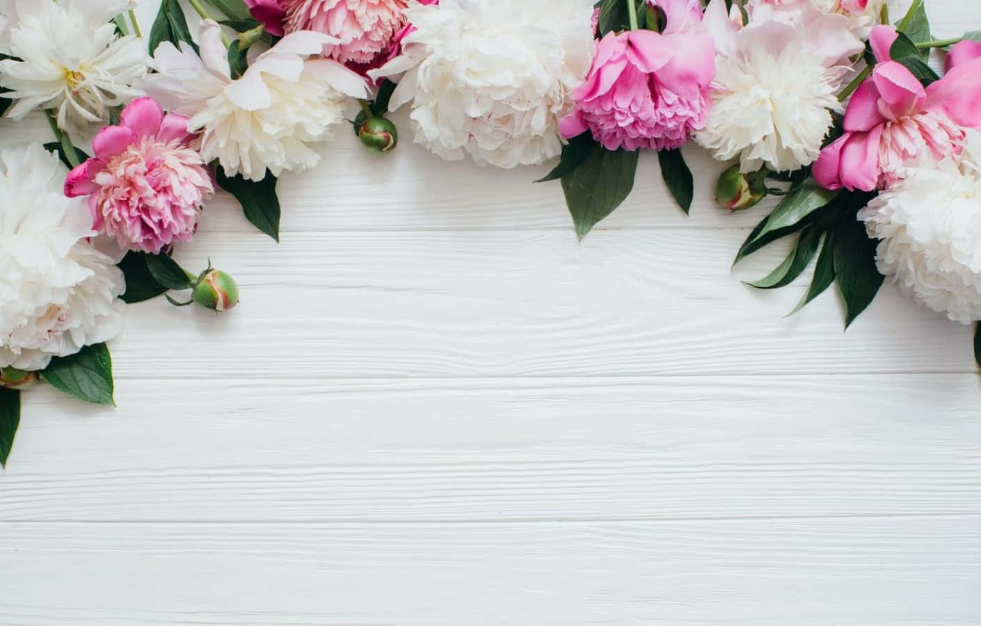 Lyserødt og hvidt æstetisk blomster tapet Wallpaper