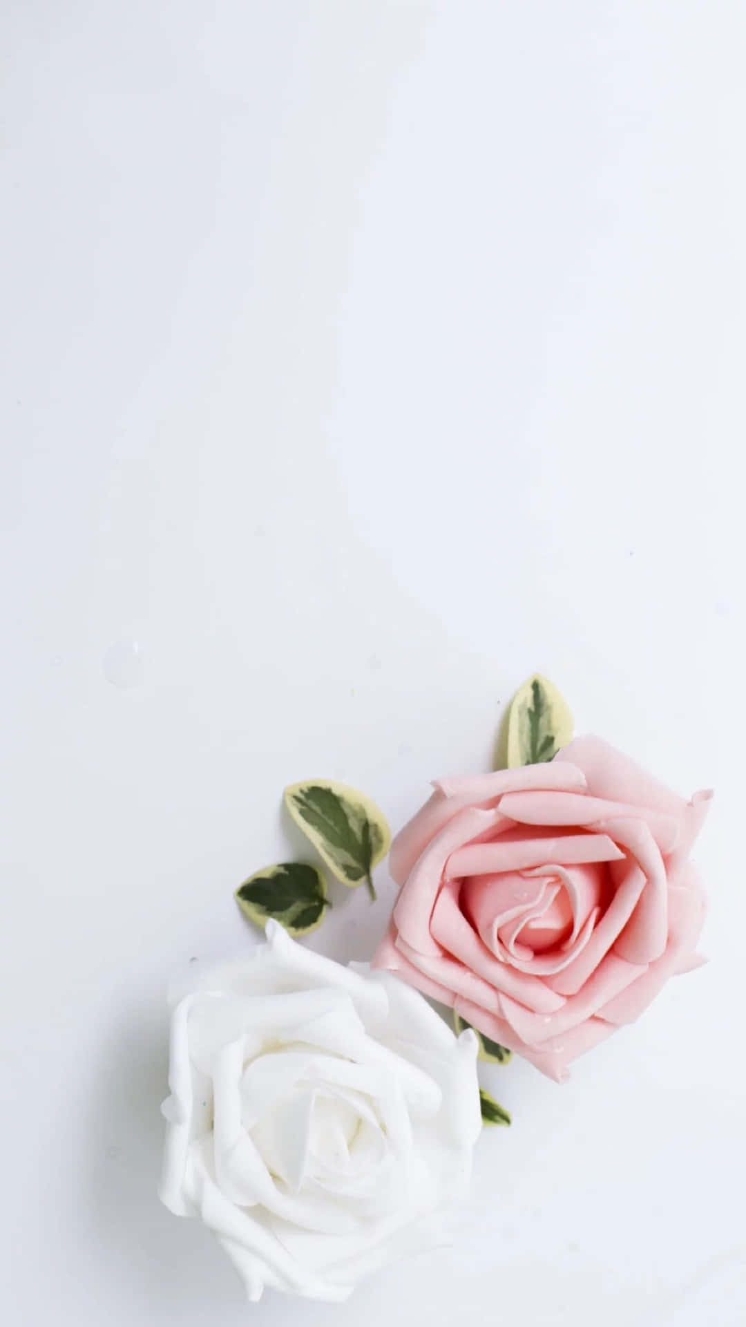 Rosa og hvide æstetiske roser Flores Tapet Wallpaper