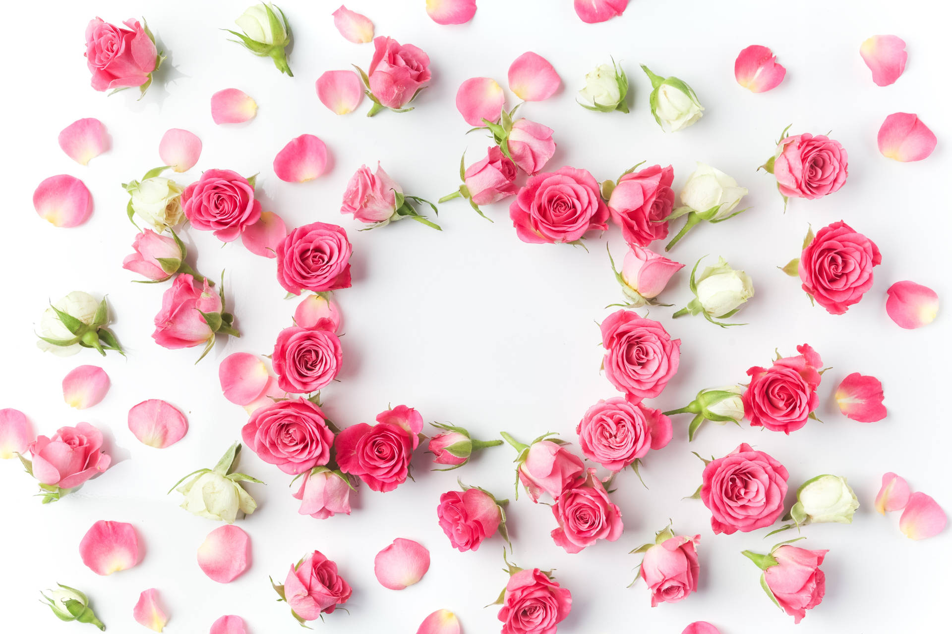 Smukke pink og hvide blomster Wallpaper