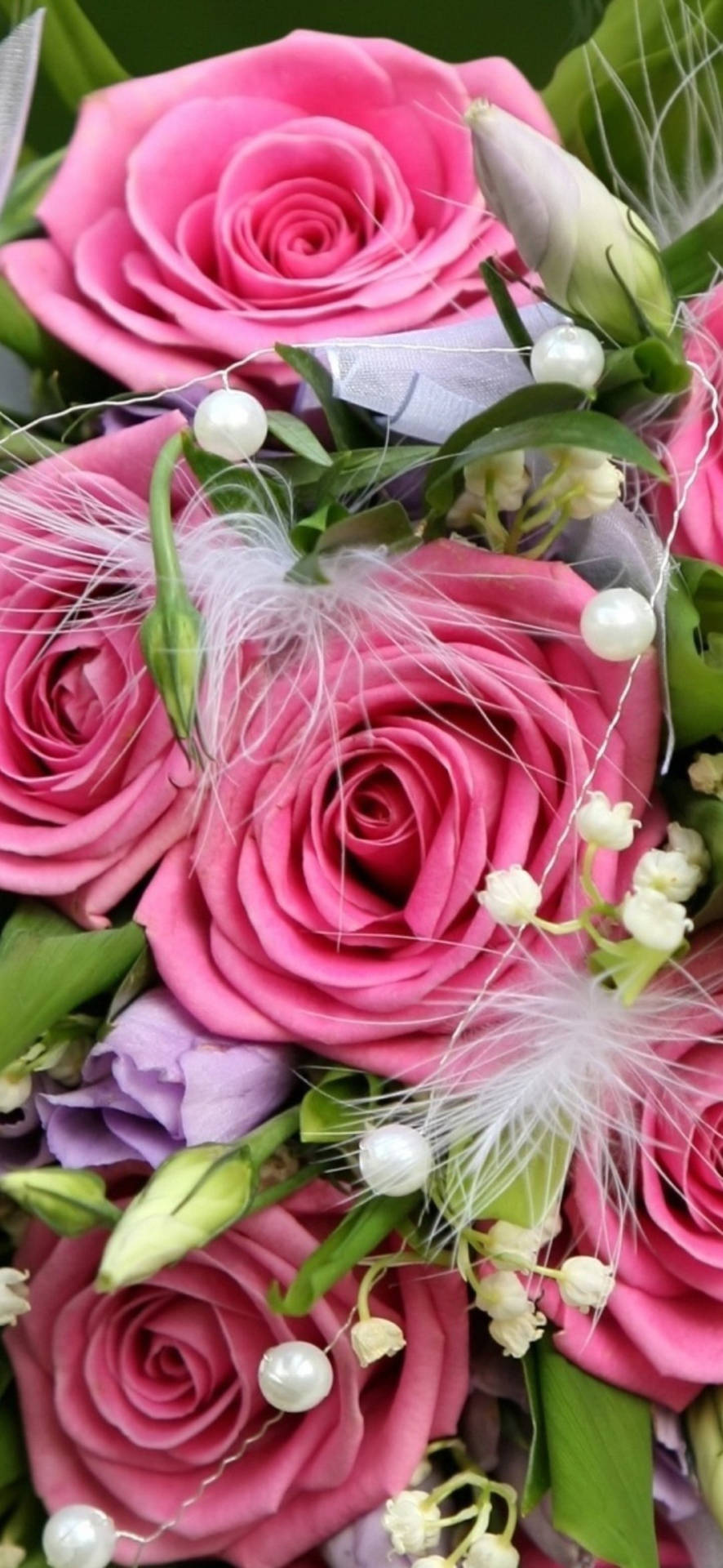 Fioridi Rose Rosa E Bianchi Per Il Cellulare Or Sfondo Per Cellulare Con Fiori Di Rose Rosa E Bianchi Sfondo