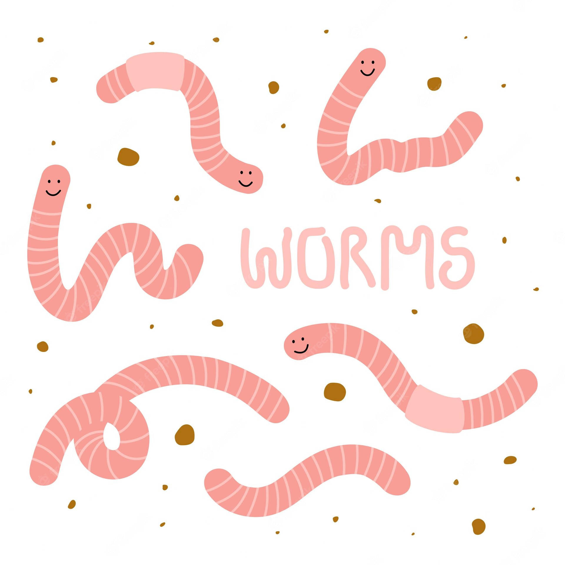 Pink And White Worm Illustration Wallpaper