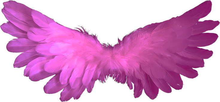 Pink Angel Wings Black Background PNG