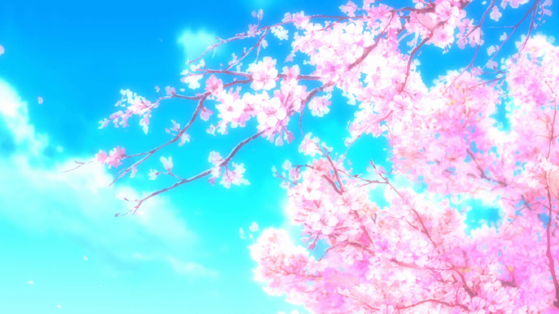 Pink Anime Aesthetic Blossoms Wallpaper