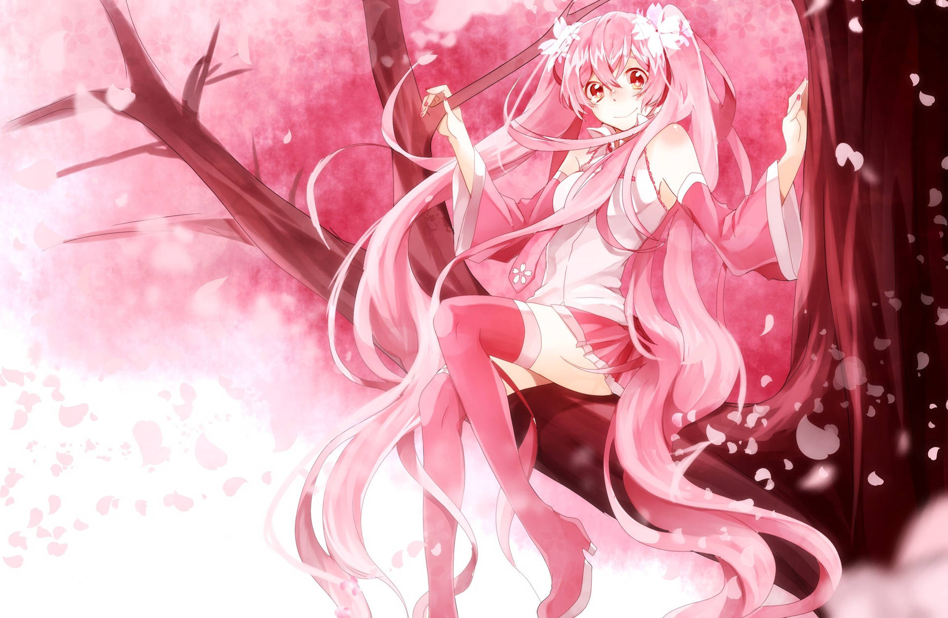 Pink Anime Aesthetic Sakura Wallpaper